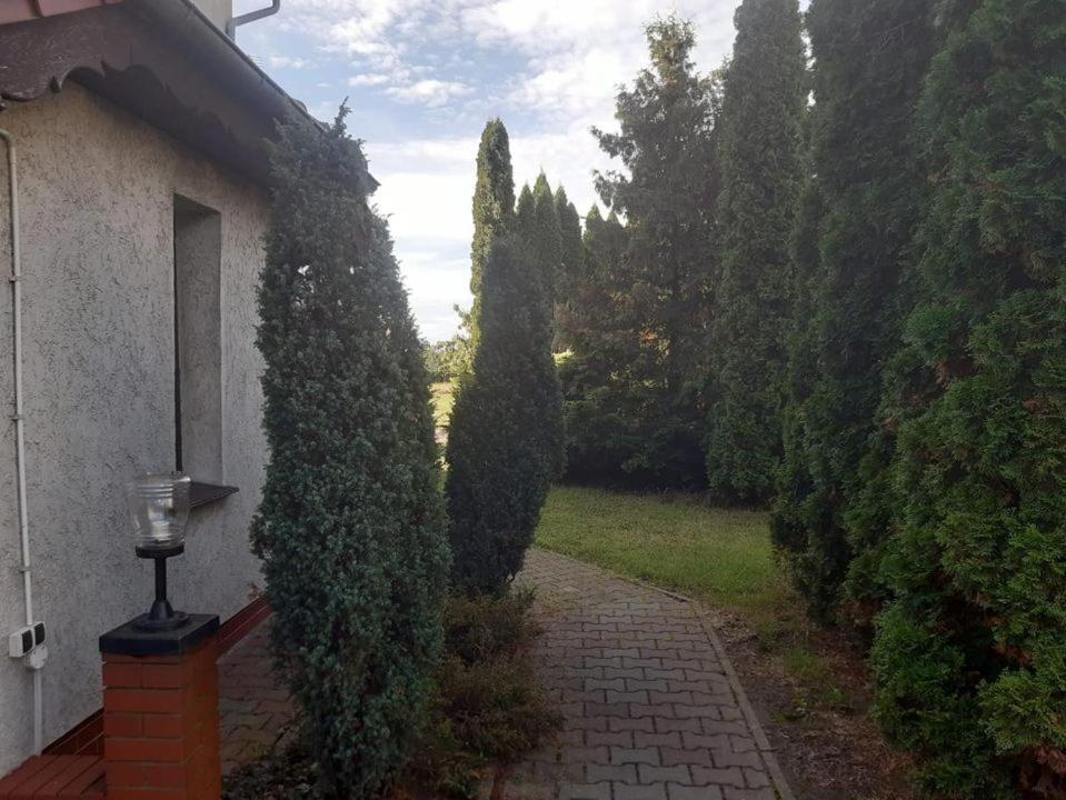 Noclegi Nowogrodziec Esterno foto